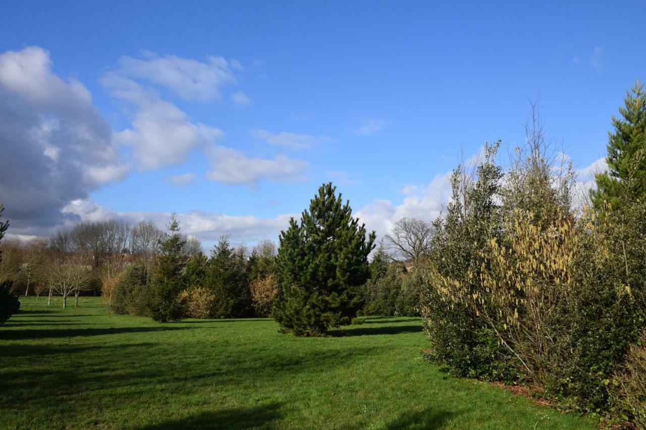 Appartement Avec Rez De Jardin A Disneyland Montevrain Bagian luar foto